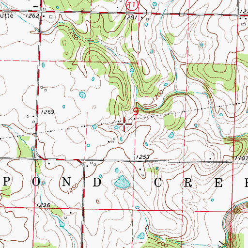 Topographic Map of Township of Pond Creek, MO