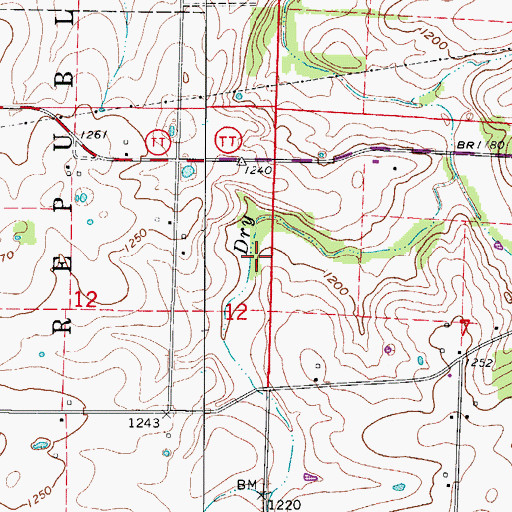 Topographic Map of Township of West Republic, MO