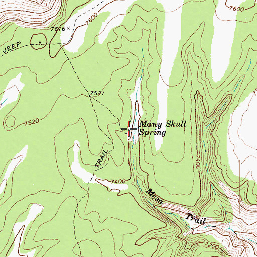 Topographic Map of Many Skull Spring, AZ