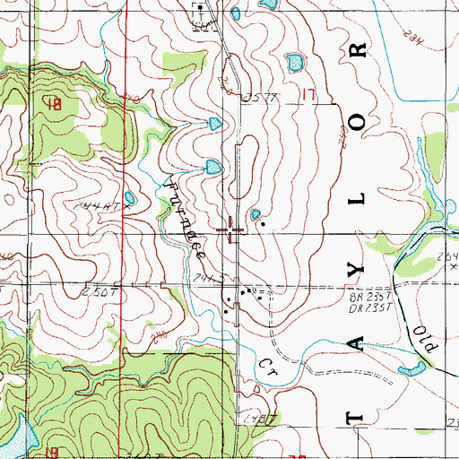 Topographic Map of Township of Taylor, MO
