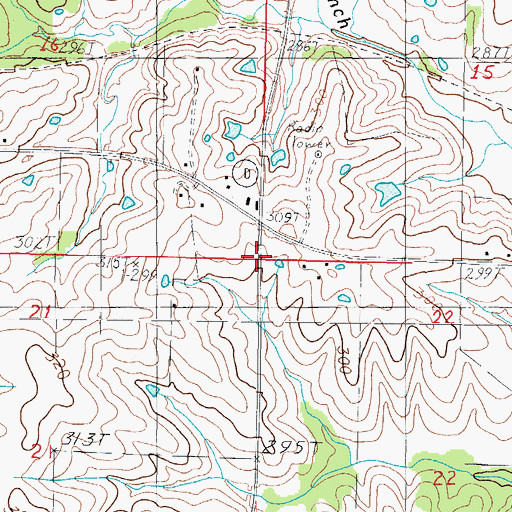 Topographic Map of Township of White Oak, MO