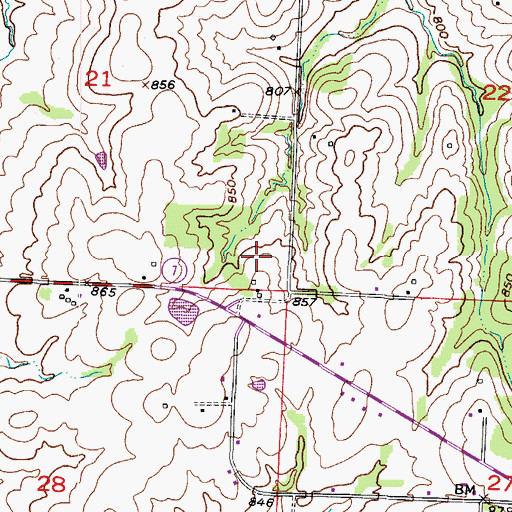 Topographic Map of Township of Leesville, MO