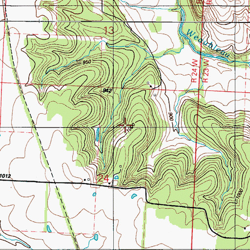 Topographic Map of Township of Weaubleau, MO