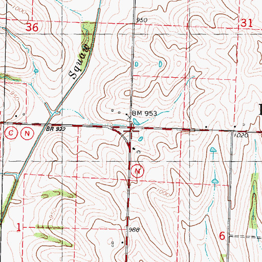 Topographic Map of Township of Liberty, MO