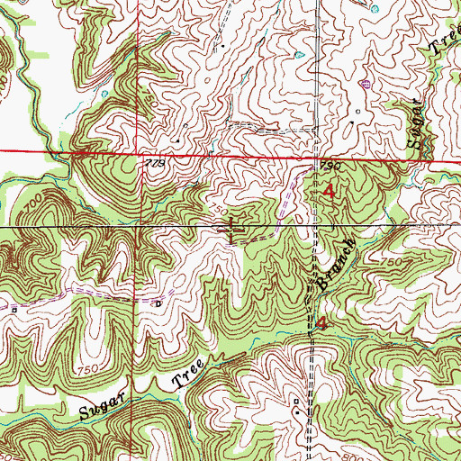 Topographic Map of Township of Burton, MO