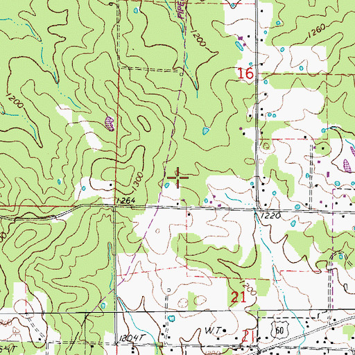 Topographic Map of Township of Goldsberry, MO