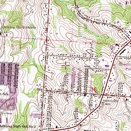 Topographic Map of Township of Blue, MO