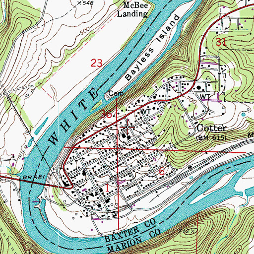 Topographic Map of Cotter, AR