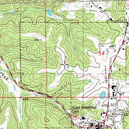 Topographic Map of Township of Central, MO