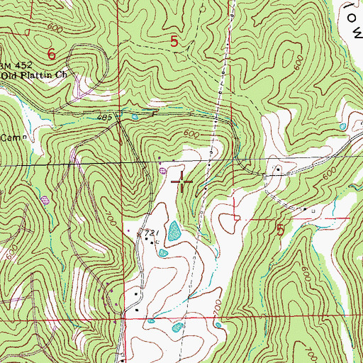 Topographic Map of Township of Plattin, MO