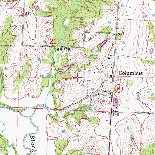 Topographic Map of Township of Columbus, MO