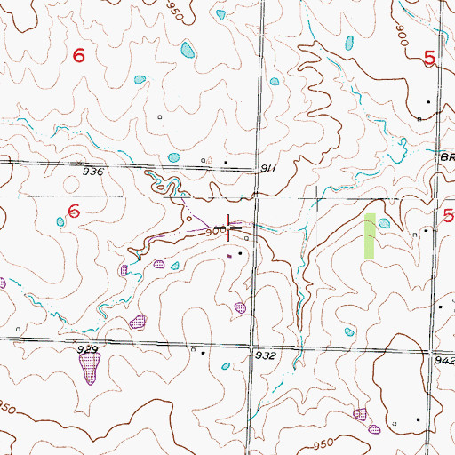 Topographic Map of Township of Post Oak, MO