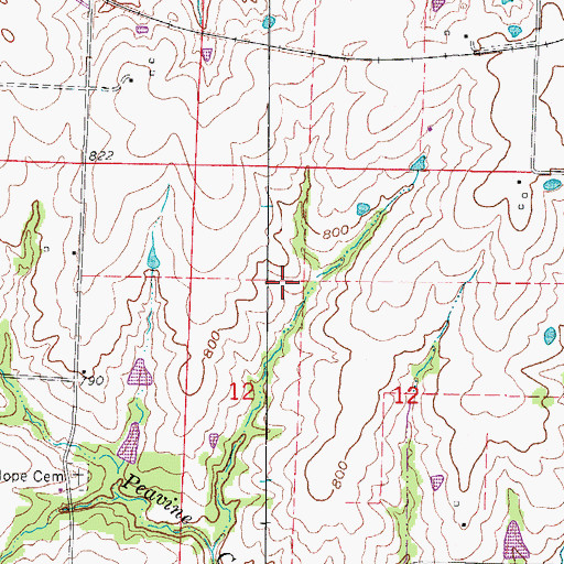 Topographic Map of Township of Freedom, MO