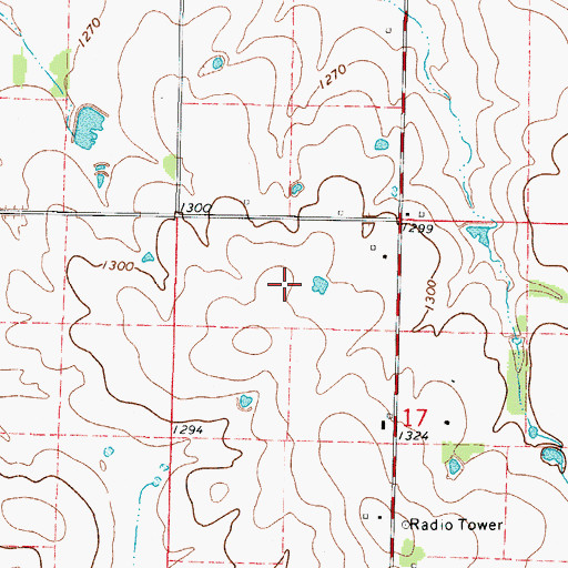 Topographic Map of Township of Green, MO
