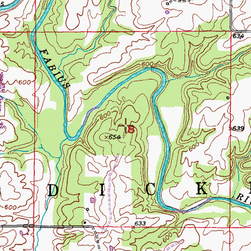 Topographic Map of Township of Dickerson, MO