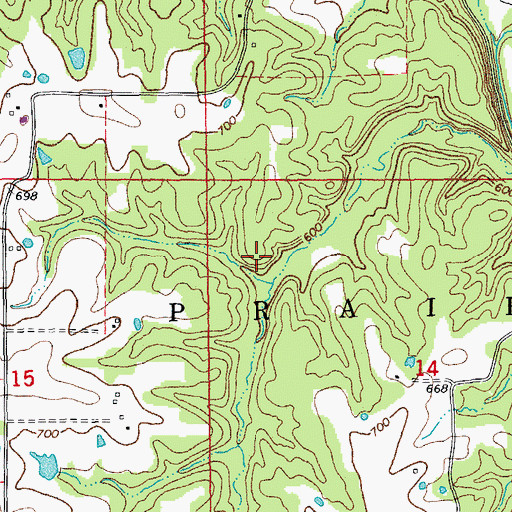 Topographic Map of Township of Prairie, MO