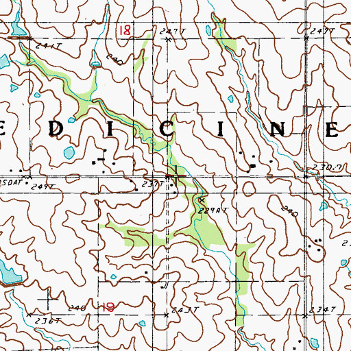 Topographic Map of Township of Medicine, MO