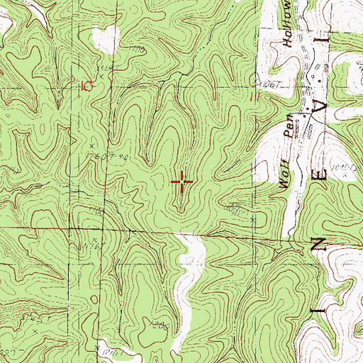 Topographic Map of Township of Pineville South, MO