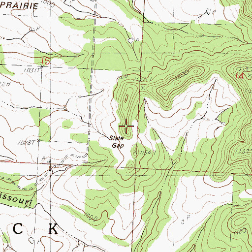 Topographic Map of Township of White Rock, MO
