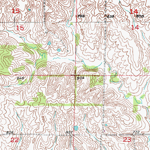 Topographic Map of Township of Lingo, MO
