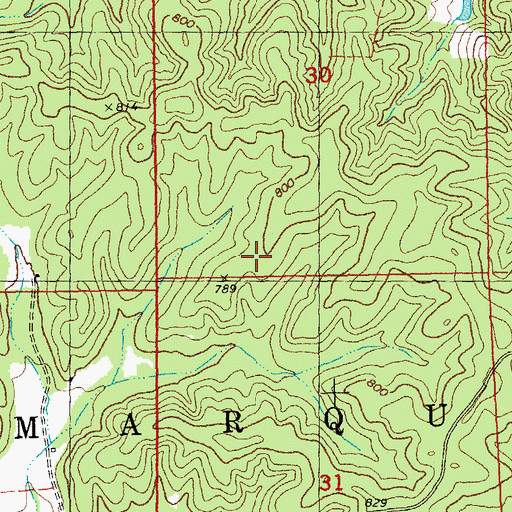 Topographic Map of Township of Marquand, MO