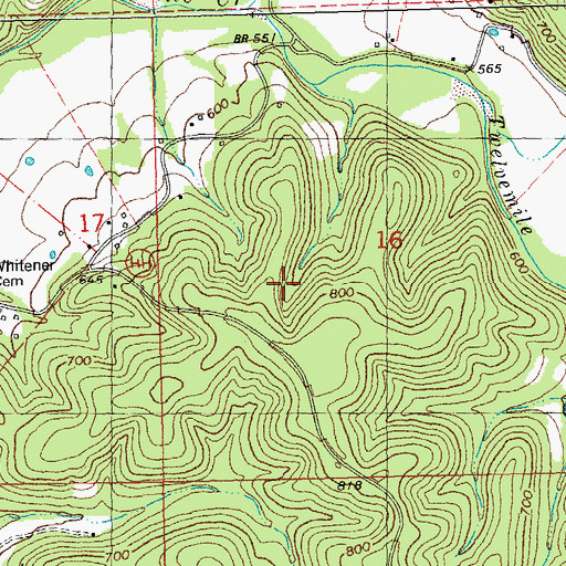 Topographic Map of Township of Twelvemile, MO