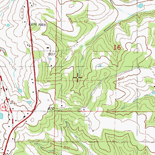 Topographic Map of Township of Jackson, MO