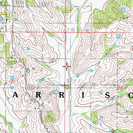 Topographic Map of Township of Harrison, MO