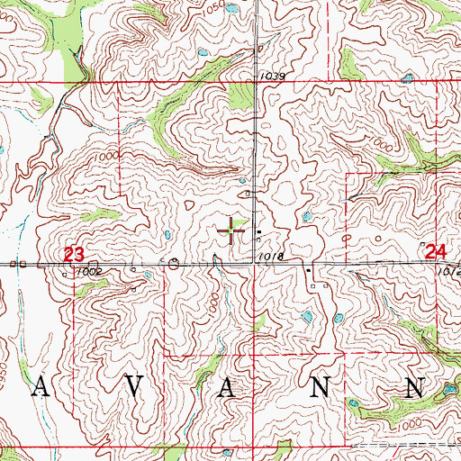 Topographic Map of Township of Ravanna, MO