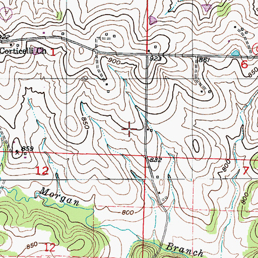 Topographic Map of Township of Burris Fork, MO