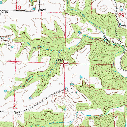 Topographic Map of Township of Linn, MO