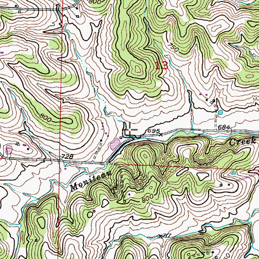 Topographic Map of Township of Walker, MO