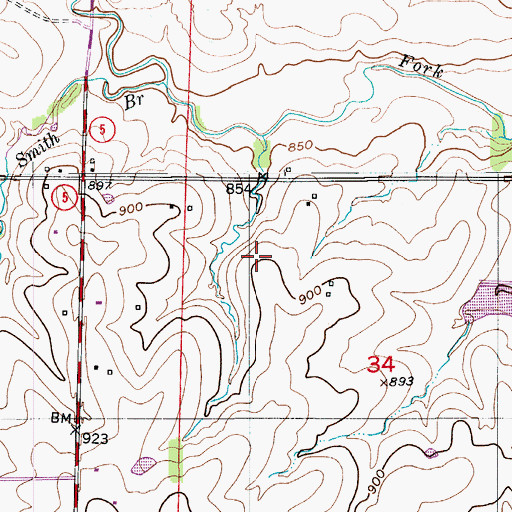 Topographic Map of Township of Willow Fork, MO