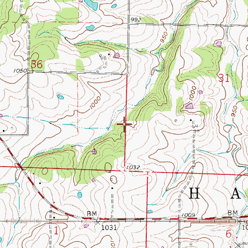 Topographic Map of Township of Haw Creek, MO