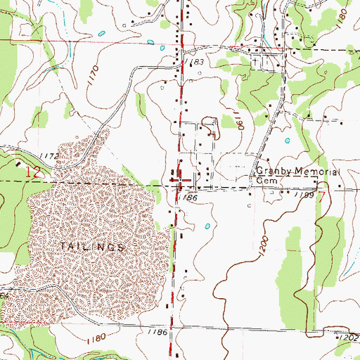 Topographic Map of Township of Granby, MO