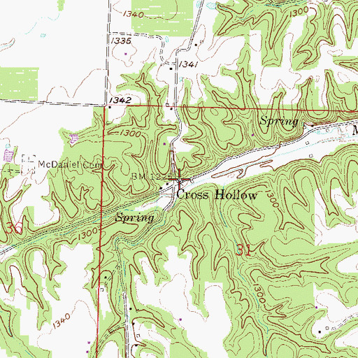 Topographic Map of Cross Hollow, AR