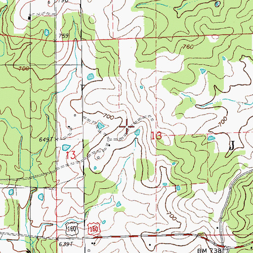 Topographic Map of Township of Johnson, MO
