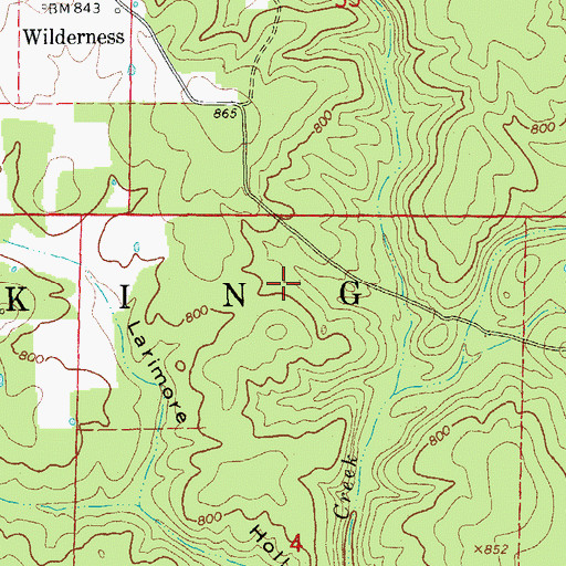 Topographic Map of Township of King, MO