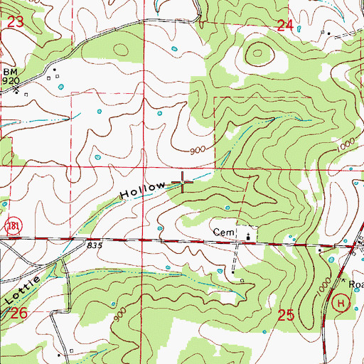 Topographic Map of Township of Richland, MO