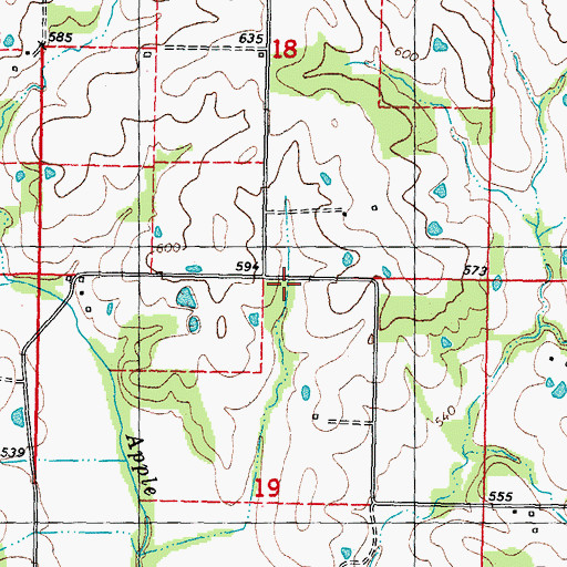 Topographic Map of Township of Cinque Hommes, MO