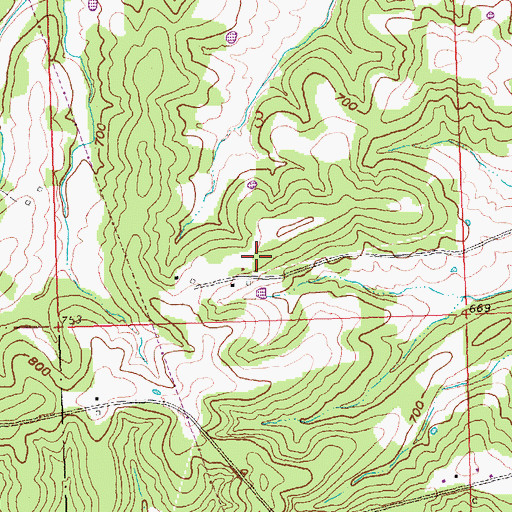 Topographic Map of Township of Saint Marys, MO