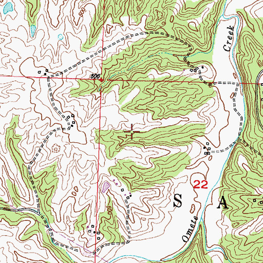 Topographic Map of Township of Salem, MO