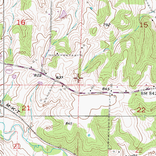 Topographic Map of Township of Bowling Green, MO