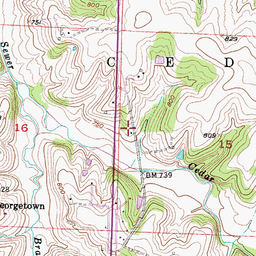 Topographic Map of Township of Cedar, MO