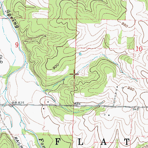 Topographic Map of Township of Flat Creek, MO