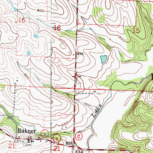 Topographic Map of Township of Lake Creek, MO