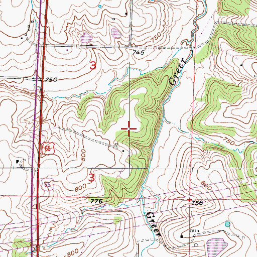 Topographic Map of Township of Longwood, MO