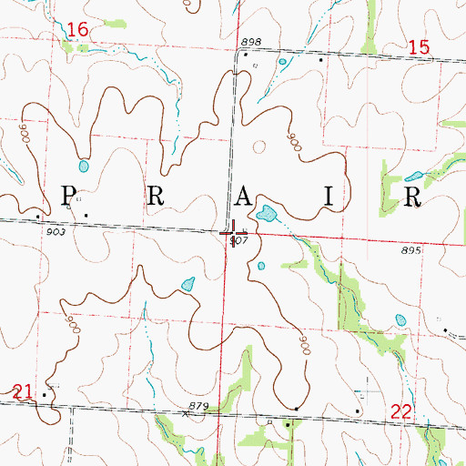 Topographic Map of Township of Prairie, MO