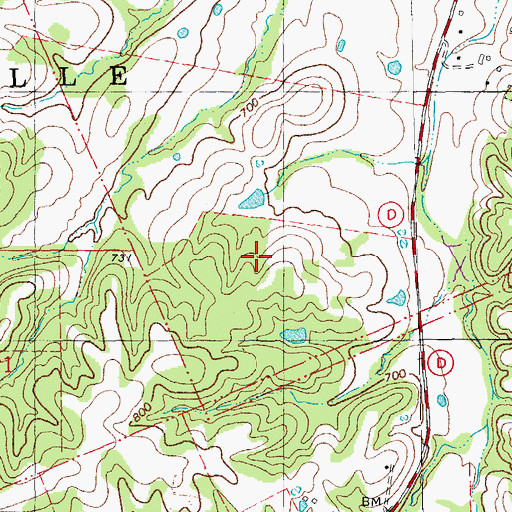 Topographic Map of Township of Prairieville, MO