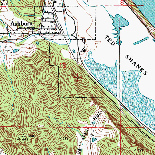 Topographic Map of Township of Salt River, MO
